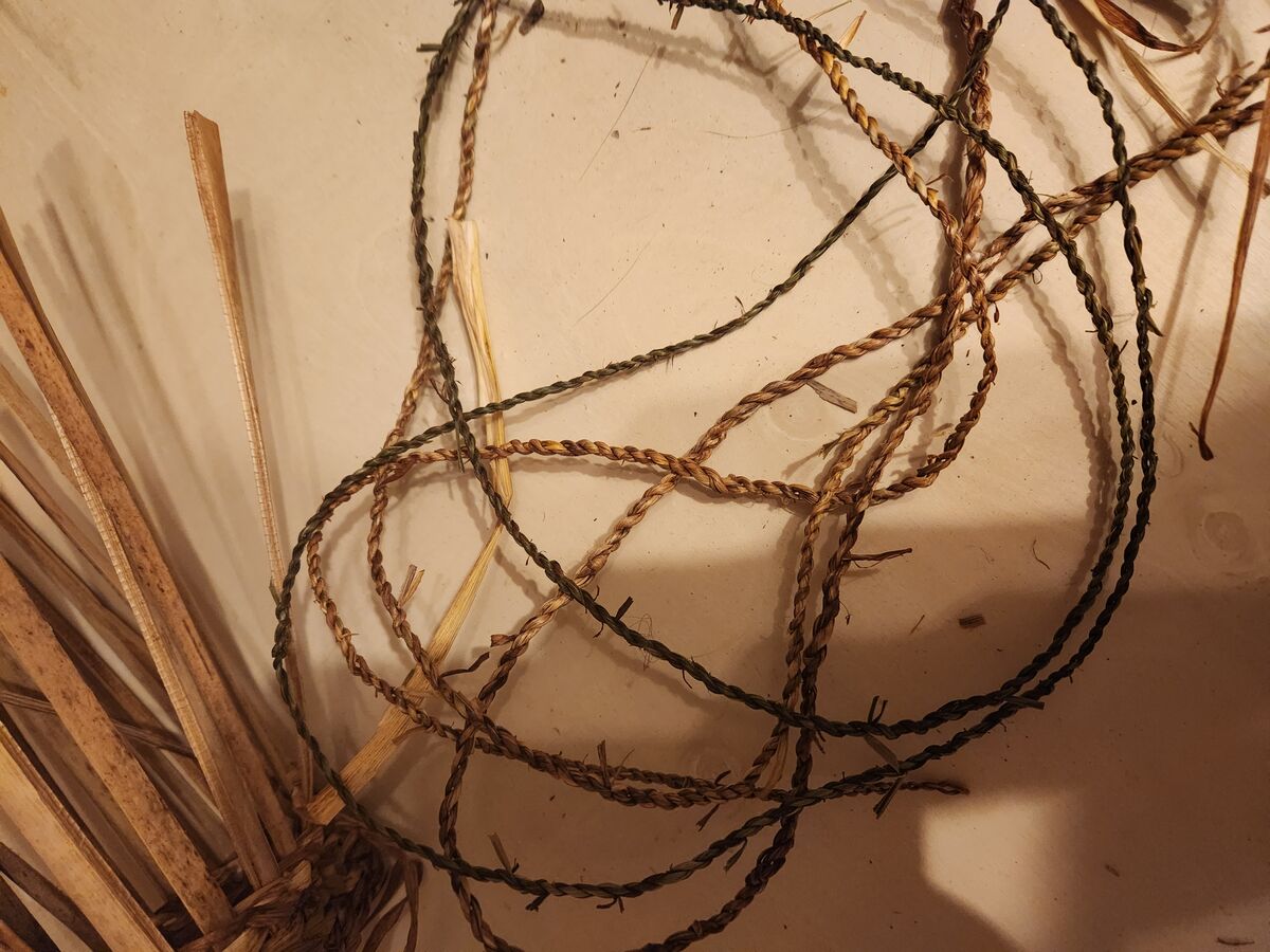 Children discovering the outdoors